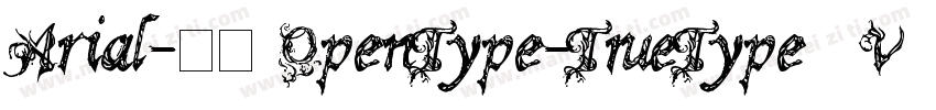 Arial-粗体(OpenType-TrueType) (Versio字体转换